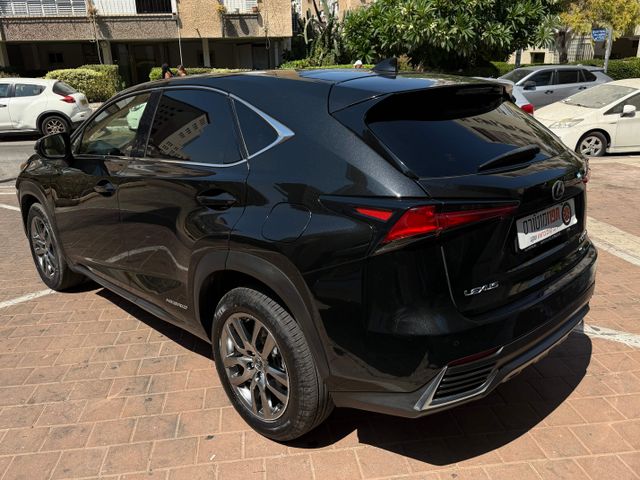 לקסוס NX