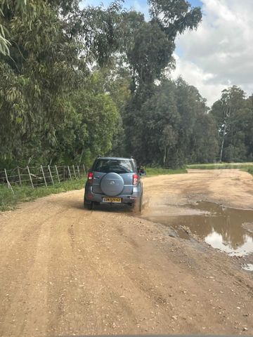דייהטסו טריוס