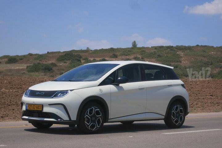 בי.ווי.די דולפין
