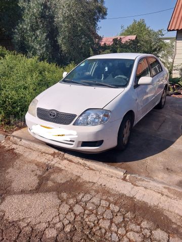 טויוטה קורולה