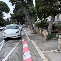 טסלה מודל Y