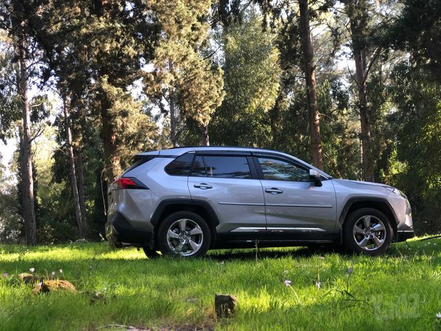 טויוטה RAV4