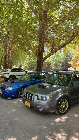 סובארו פורסטר