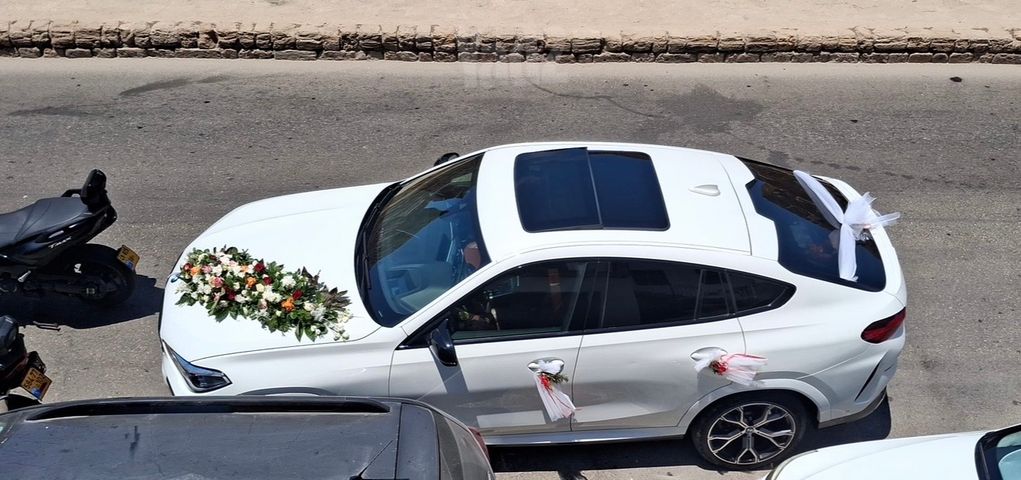 ב מ וו X6