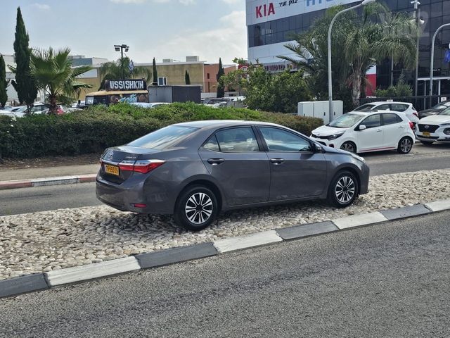 טויוטה קורולה