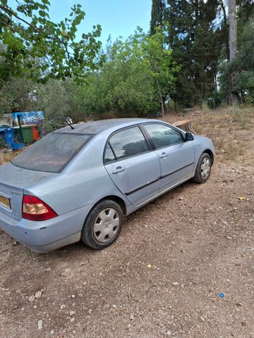 טויוטה קורולה