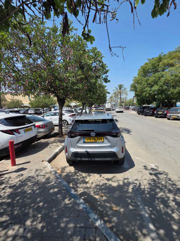 טויוטה יאריס קרוס