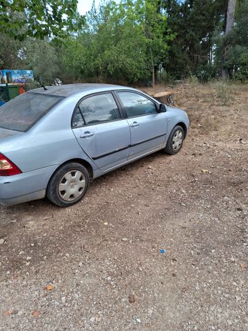 טויוטה קורולה