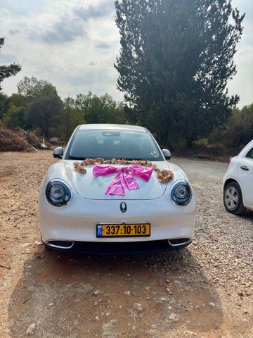 מודעת רכב אורה 03