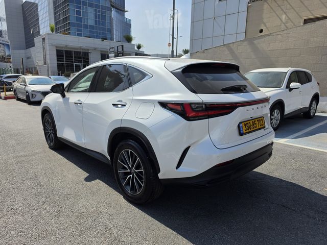 לקסוס NX