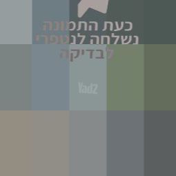 סיטרואן C4 פיקאסו