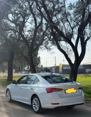 סקודה אוקטביה