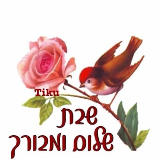 סקודה סופרב