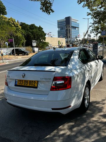 סקודה אוקטביה 