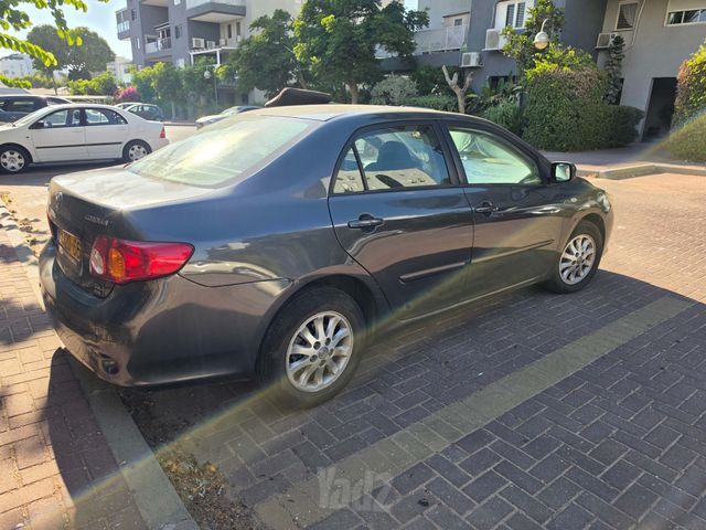 טויוטה קורולה