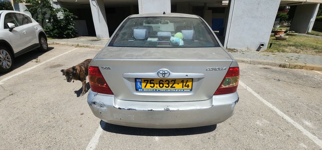 טויוטה קורולה