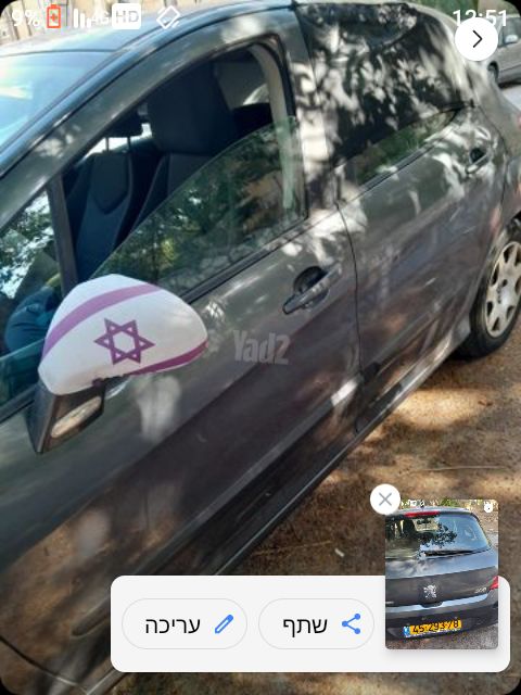 פיג'ו 308