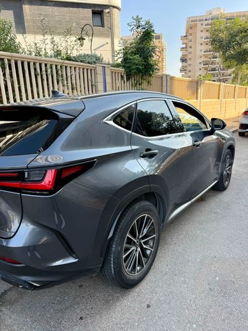 לקסוס NX