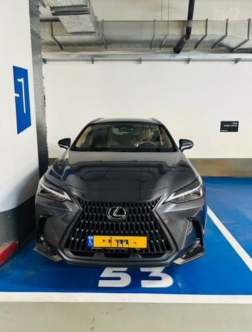 לקסוס NX