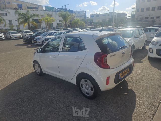קיה פיקנטו
