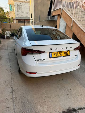 סקודה אוקטביה
