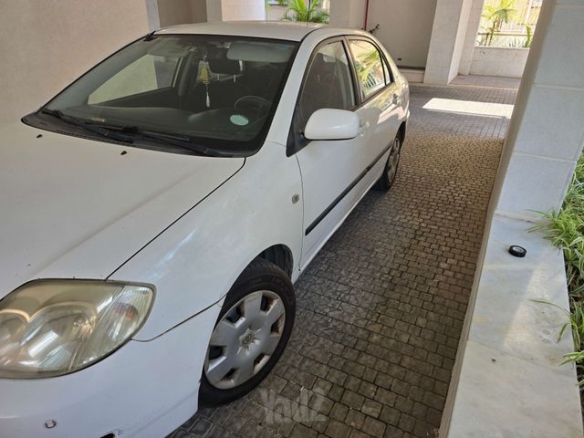 טויוטה קורולה