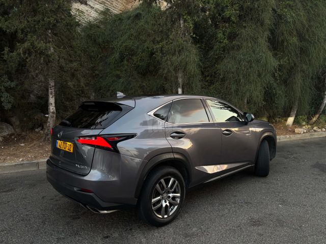 לקסוס NX