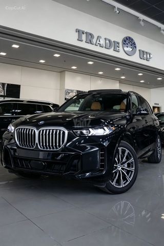 ב מ וו X5