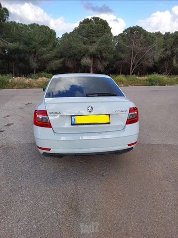 סקודה אוקטביה 