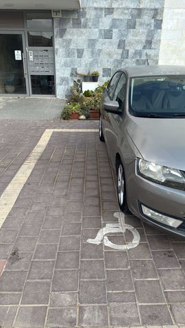 סקודה ראפיד