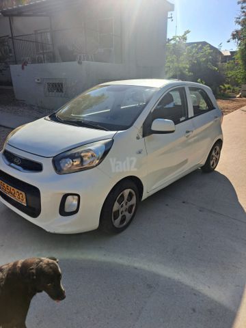 קיה פיקנטו