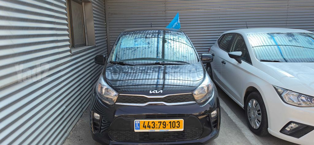 קיה פיקנטו