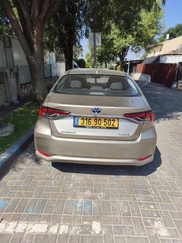 טויוטה קורולה