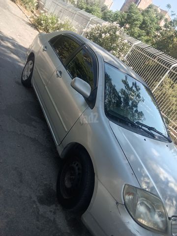 טויוטה קורולה