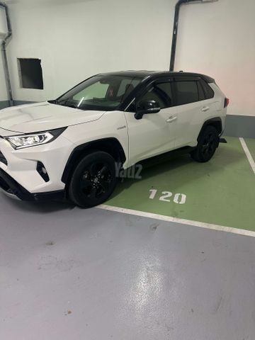 טויוטה RAV4