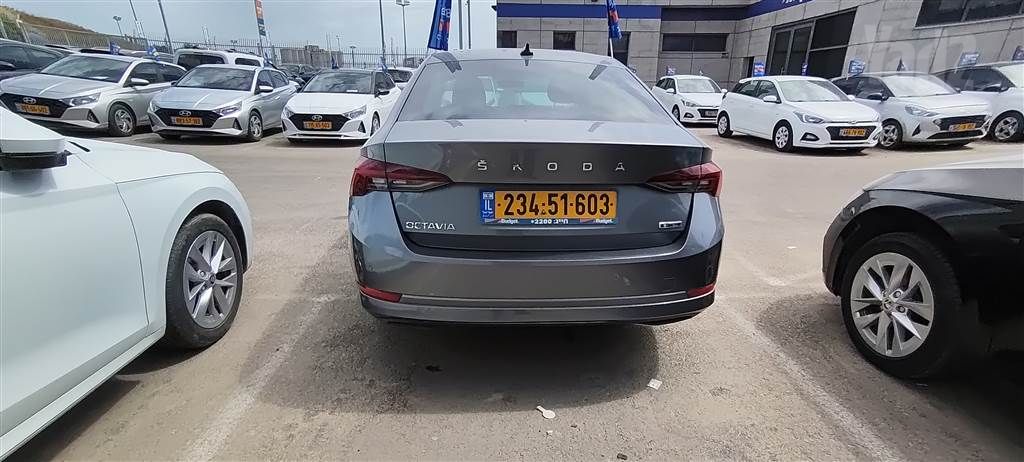 סקודה אוקטביה 