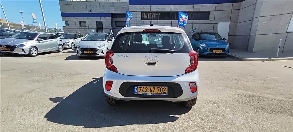 קיה פיקנטו