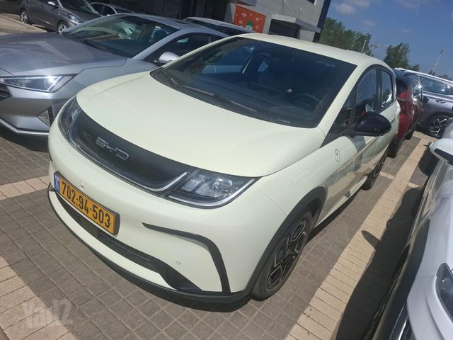 בי.ווי.די דולפין