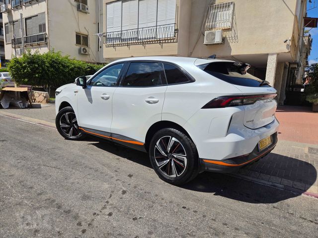 פורתינג פריידי