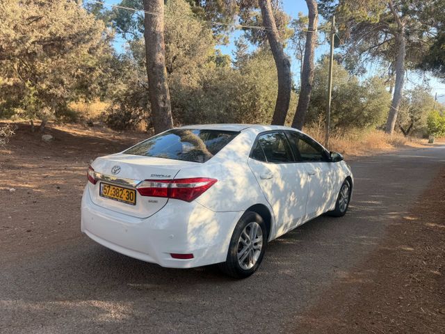 טויוטה קורולה