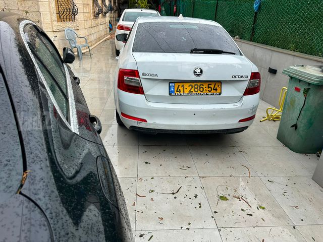 סקודה אוקטביה