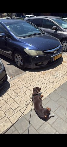 הונדה סיוויק