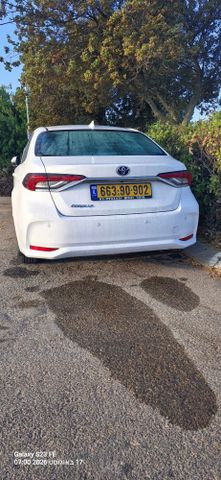 טויוטה קורולה