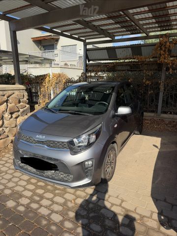 קיה פיקנטו