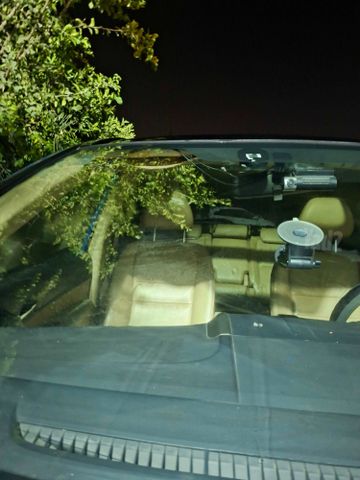 הונדה CR-V