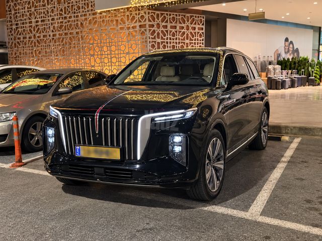 הונגצ'י E-HS9