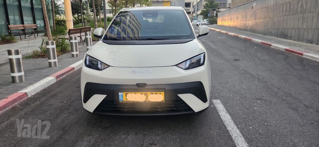 בי.ווי.די דולפין