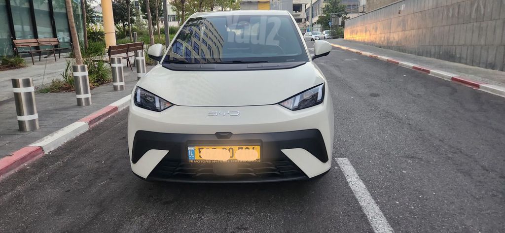 בי.ווי.די דולפין