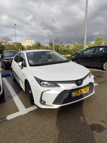 טויוטה קורולה