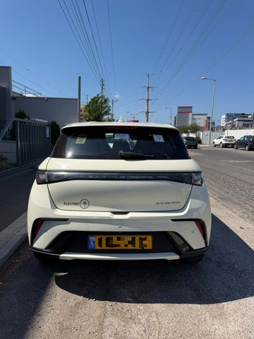 בי.ווי.די דולפין
